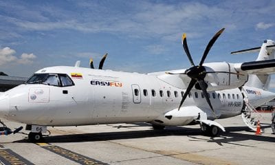 La respuesta de EasyFly por el perro que murió en un vuelo