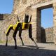 Perro robot en pompeya