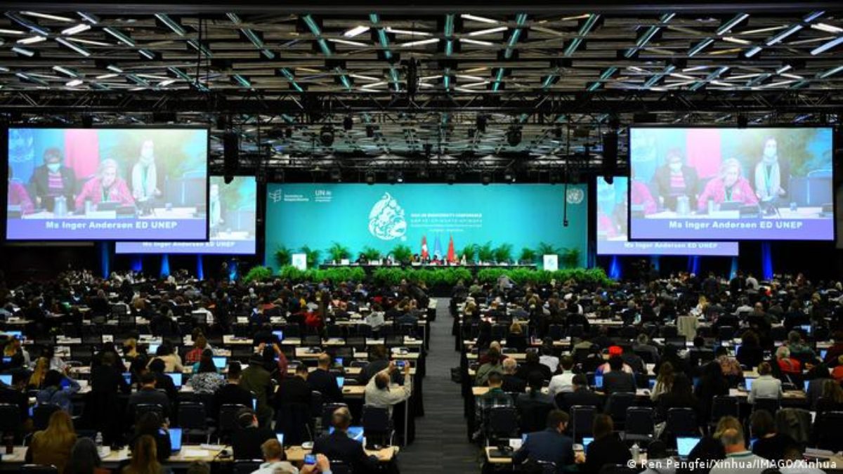 Alcanzan Acuerdo Histórico Sobre Biodiversidad En COP15 De Montreal ...